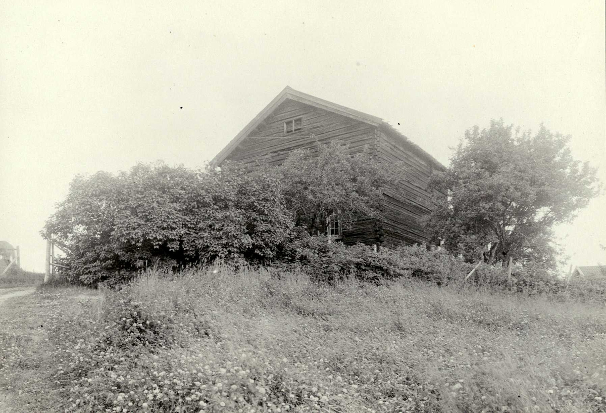 Bakli, Sør-Odal, Hedmark 1925. Hovedbygningen, tømmerhus gjemt bak busker.