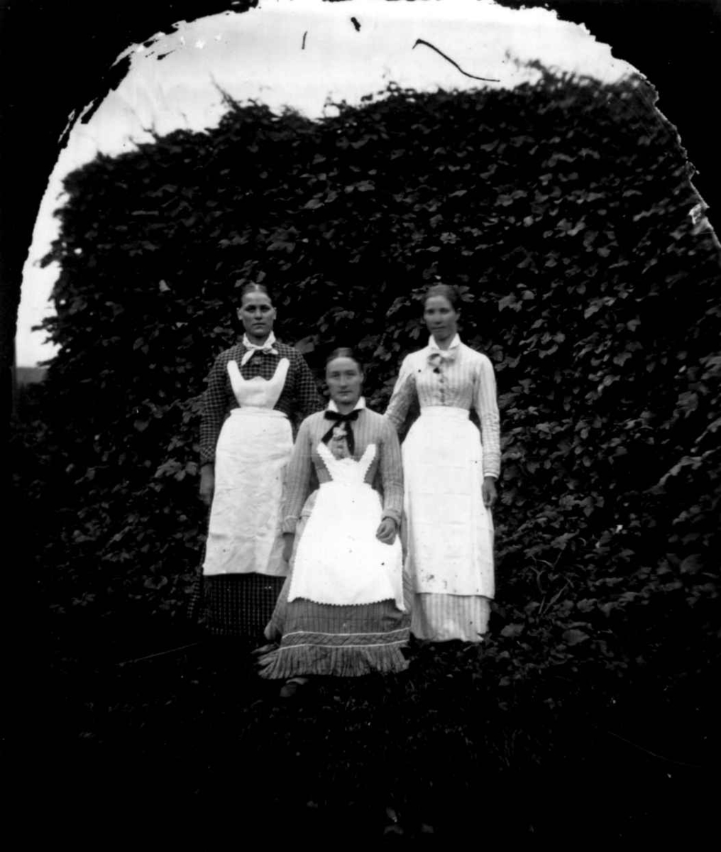 Tjenestepiker, Dal gård, Ullensaker, ca. 1879. Tre kvinner poserer i arbeidsdrakt.
Fra portrettserie av personer som bodde på eller besøkte Dal gård, Ullensaker, fotografert av gårdens eier, kammerherre Fredrik Emil Faye (1844-1903) i årene 1875-1900.