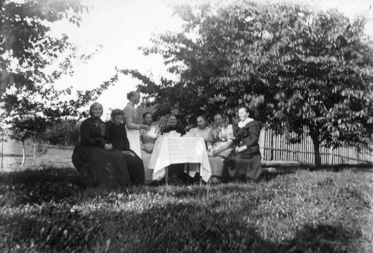 Div. drakt, Norge 1908-10. Hage med trær. Kvinner og en mann rundt et bord. Kvinnene i lange kjoler.