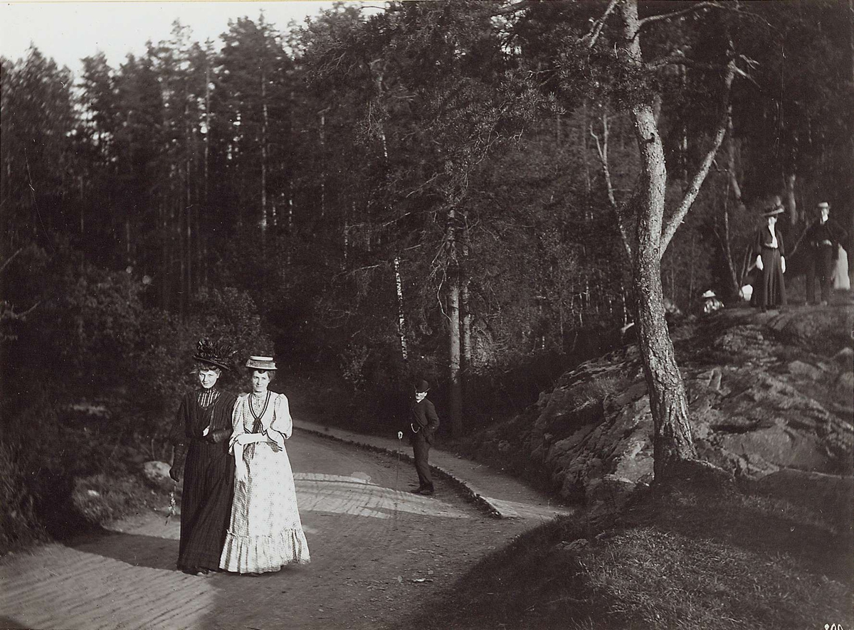Bygdøy, Oslo 1908. Spaserende, to kvinner og en mann på vei i skogen. 