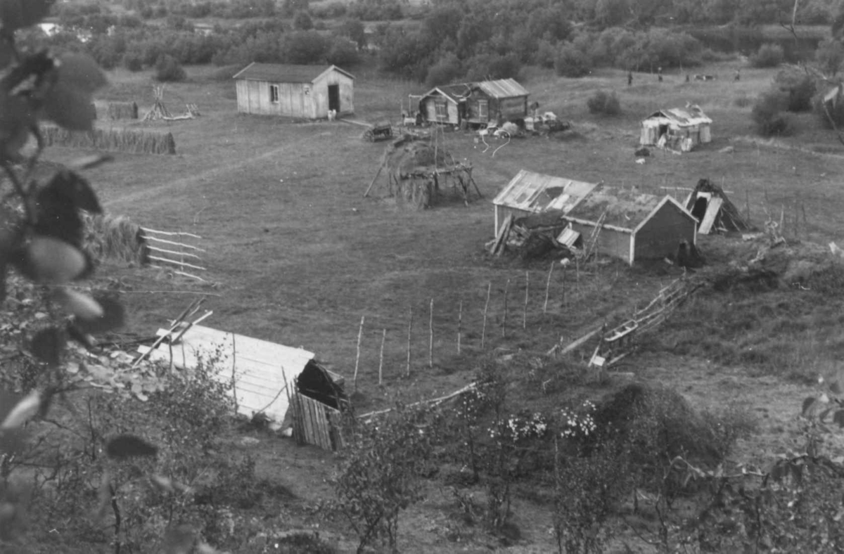 Oversiktsbilde over Nils Mathis Gaups gård med uthus, stabbur og hesjer. Masi 1953.