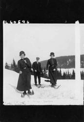 Vintermotiv. 1910. Landskap. To kvinner og en mann på ski.
K