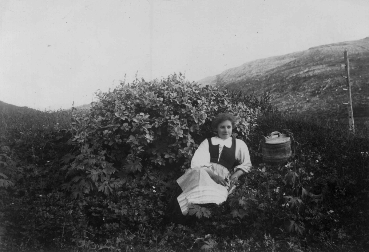 Kvinne i landskap, ukjent sted, muligens i drakt fra Gudbrandsdalen, Oppland. Ambar? plassert ved siden av henne.
Serie tatt av Robert Collett (1842-1913), amatørfotograf og professor i zoologi. 