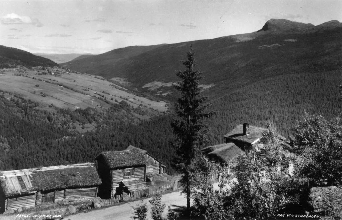 Fra Vinstradalen, 1925. Jordbruksbygd i Gudbrandsdalen. Omgitt av skogg, åser og fjell. Gårdsanlegg. Tømmerhus i forgrunnen. 