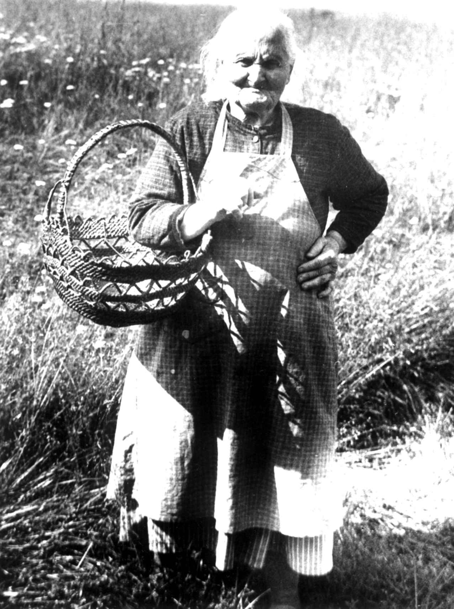 Ukjent kvinne med tegerkurv.Rørosbygdene, Røros, Sør-Trøndelag 1938.