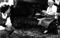 Husflidsdag NF. 3.8.86