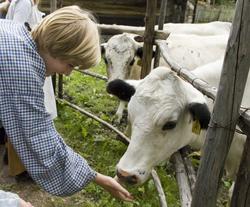 Levendegjøring på museum.Ferieskolen uke 32 i 2007. Dyrene 