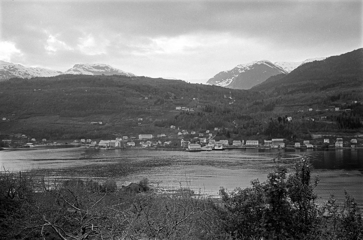 Serie. Hjeltnes hagebruksskole, Ulvik, Hordaland. Fotografert mai 1965.