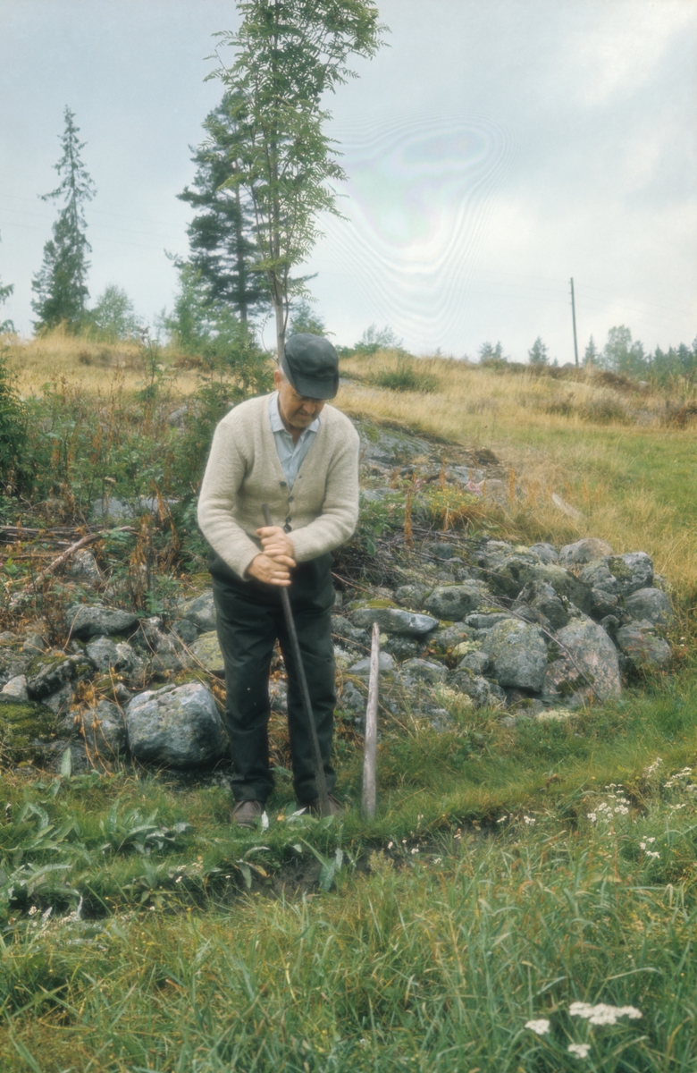 Olav Askerud setter opp staur til tørking av lin, på Harstadsetra i Vestmarka.