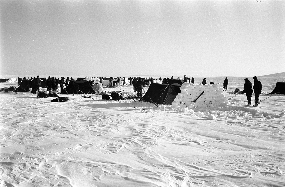 Gardister på fjelltur i Uvdalsfjellene, Nore og Uvdal, 13.03.1965.