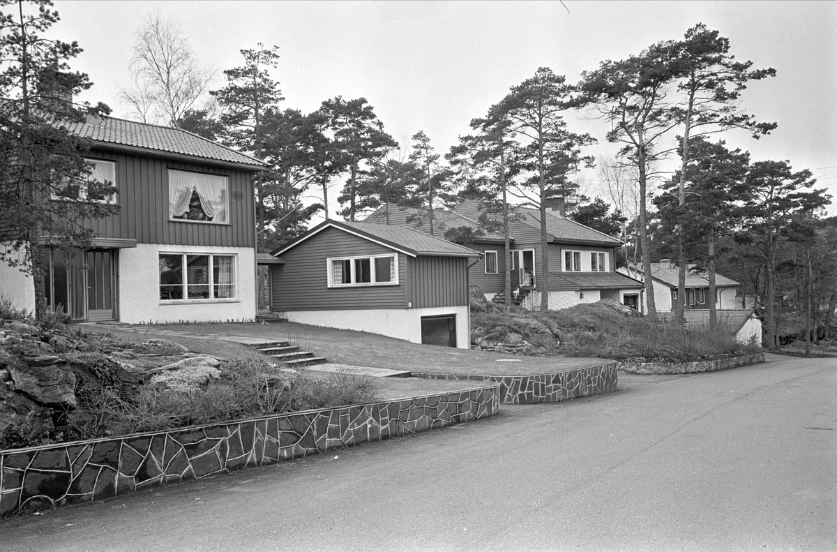 Kristiansand, april 1967. Vei med villabebyggelse.