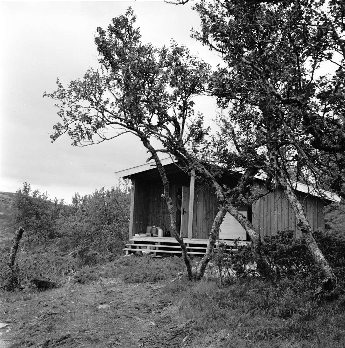 Trysil, Hedmark, august 1964. Hytte.