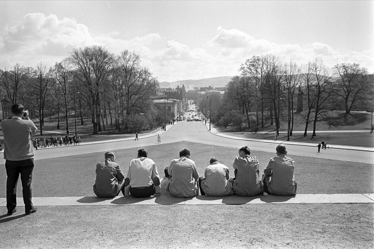 Drammensveien 1, Oslo, mai 1964. Slottsplassen, utsikt nedover Karl Johan.