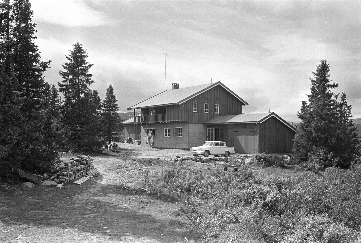 Fra Valdres juli 1967. Bolig ute i skogen i Vang.