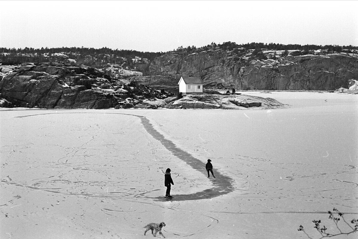 Fra Risør januar 1967. Smal skøytebane er anlagt på fjordisen på Risøya.