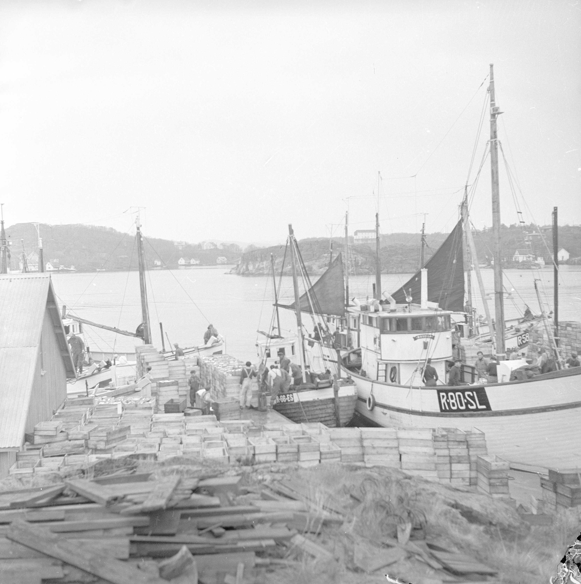 Kristiansand S., 22.05.1954, makrellfiske, fiskeskøyter ved kai.