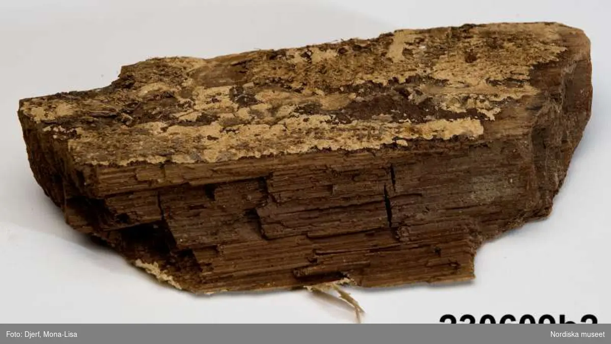 Huvudliggaren:
"Toffel, fragmentarisk, av brun sammet med lädersula (a1-2). Träfragment (b1-8). Fynd inom resterna av murad grav i Gällestads kyrka."