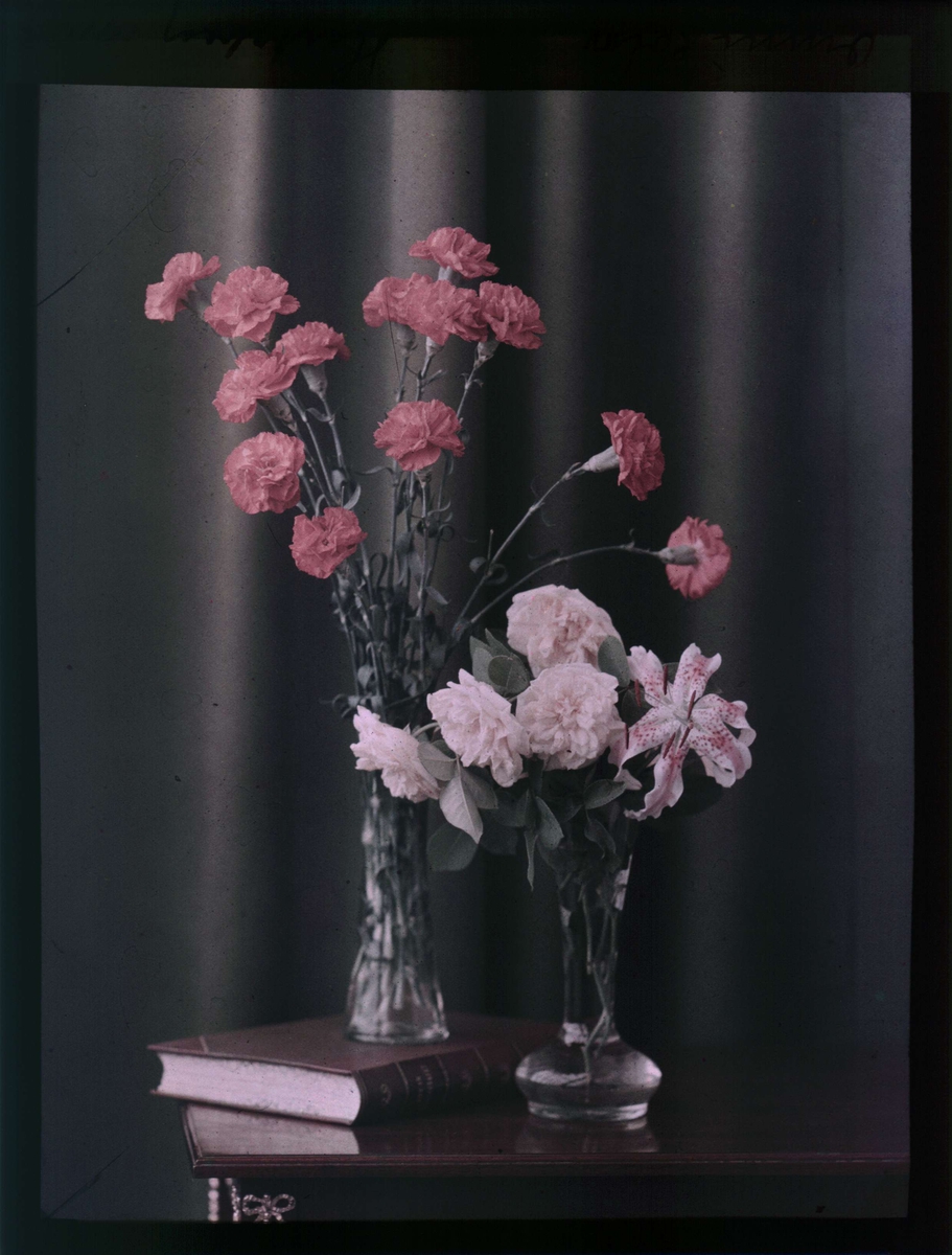 Två vaser, en med rosa nejlikor, en med rosa rosor och en lilja. Autochrome / Autokromfotografi.