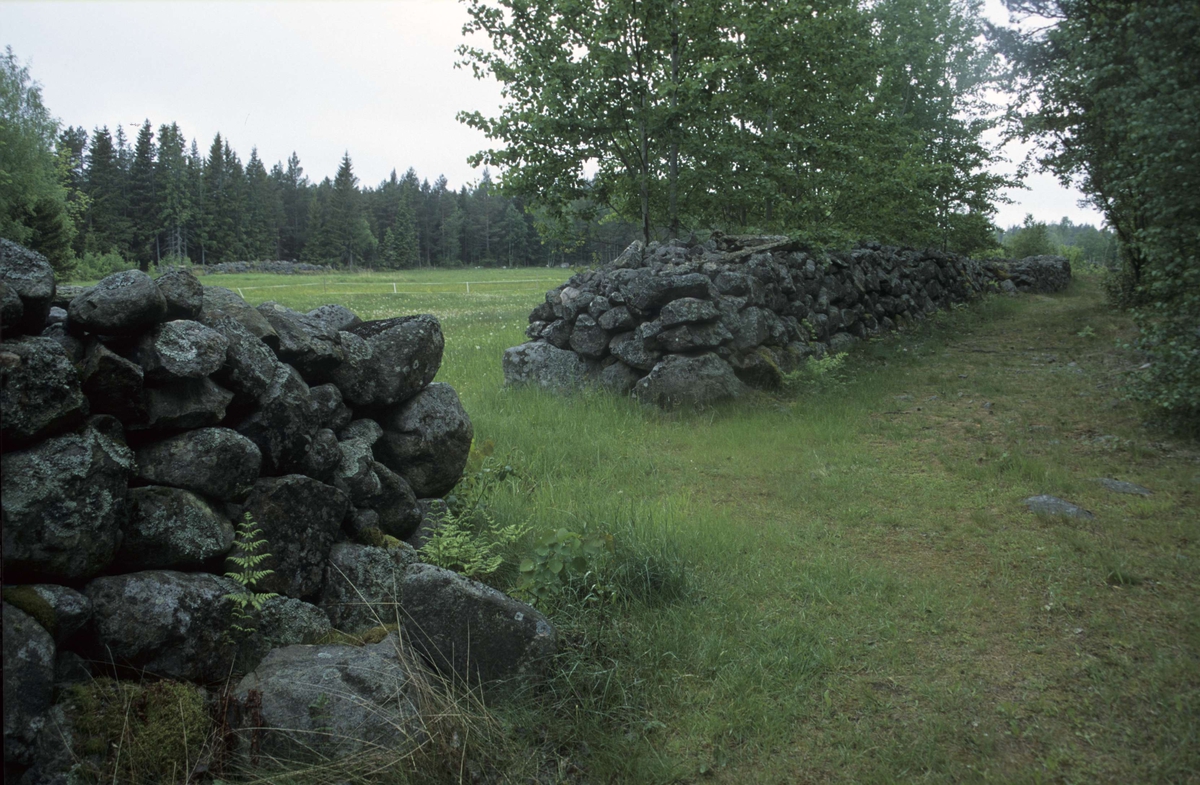 Landskapsvy med stenmurar, Hållen, Hållnäs socken, Uppland 2000