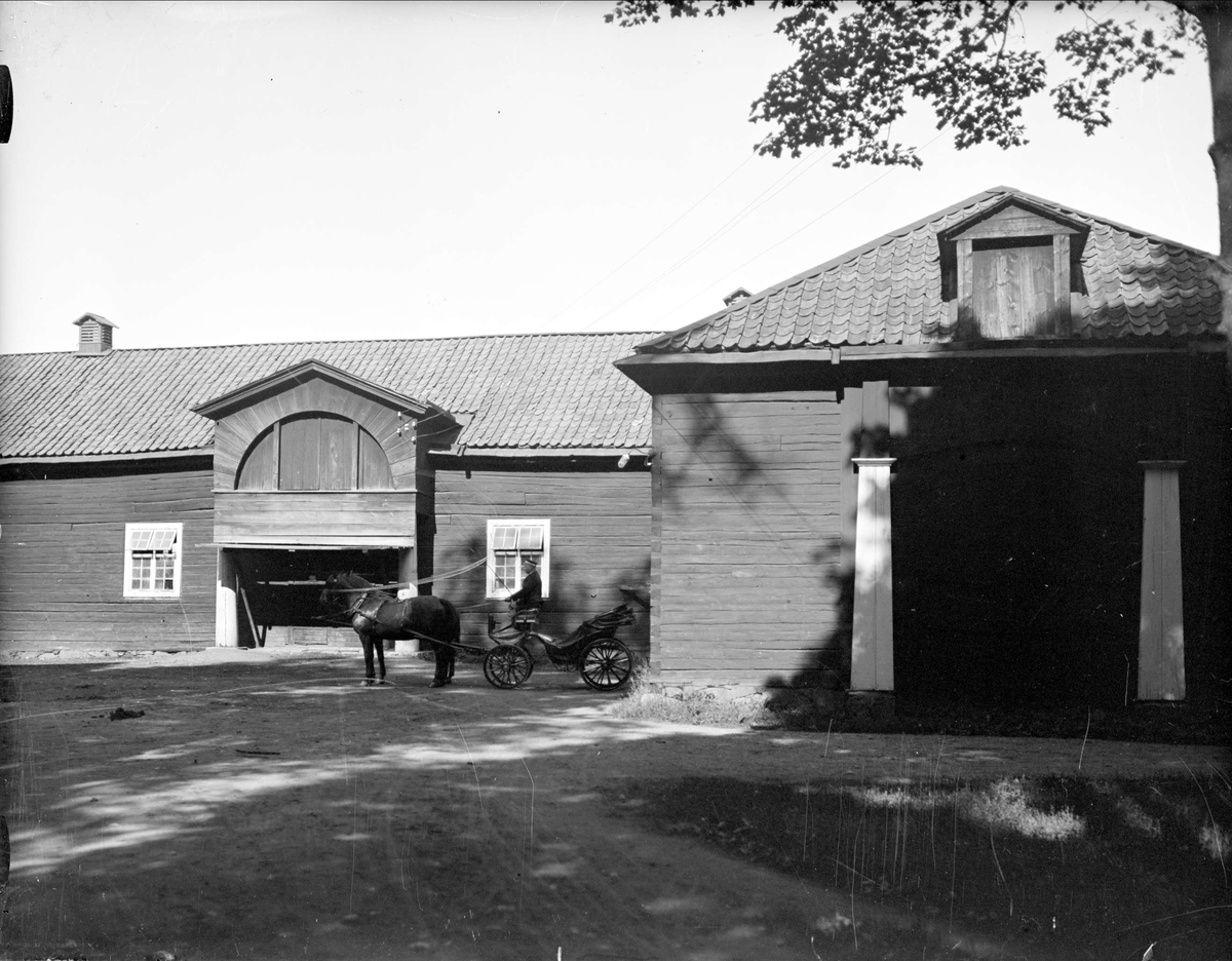 Hästskjuts vid stall, Sätuna gård, Björklinge socken, Uppland 1930