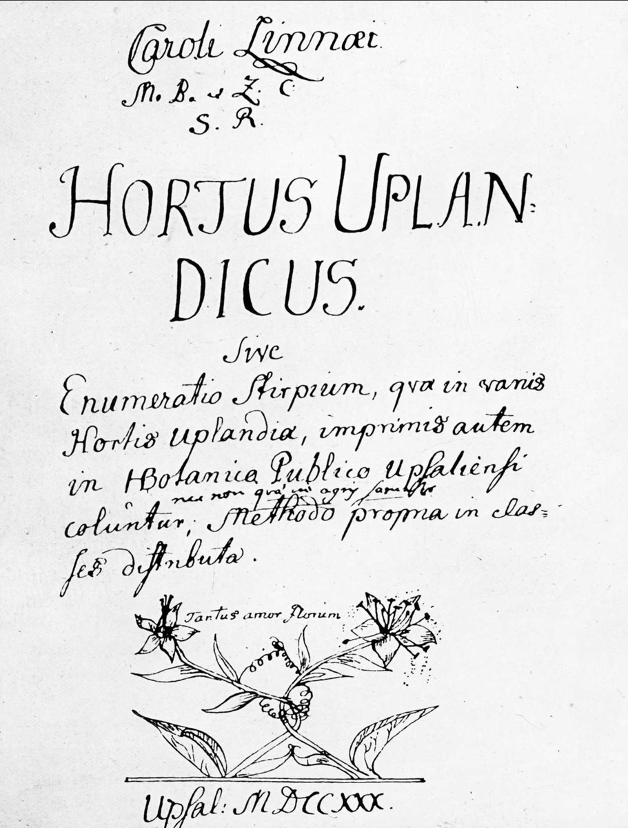 Omslaget till Linnés Hortus Uplandicus