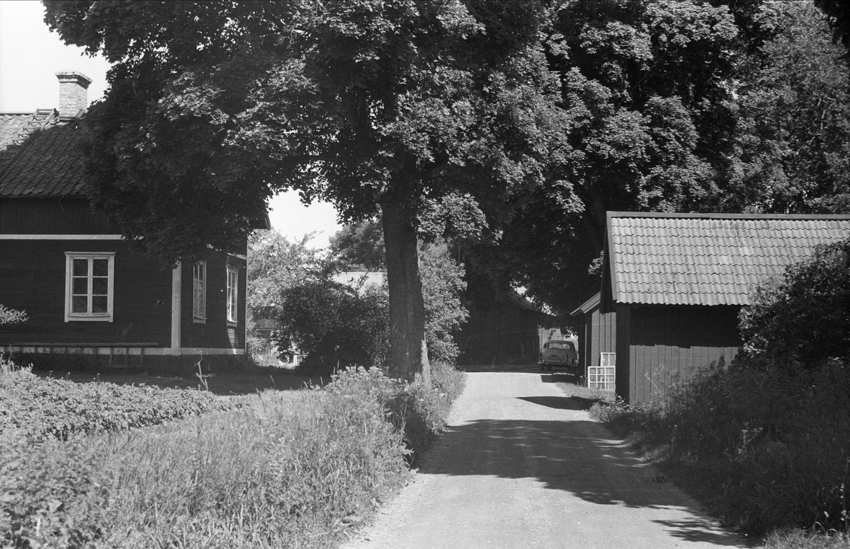 Vy över Lund 2:4, Björklinge socken, Uppland 1976