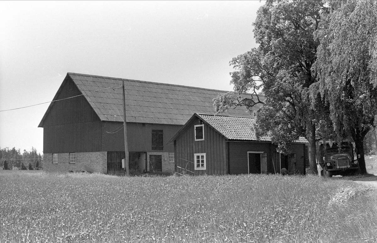Ladugård, loge, bod och magasin, Lövhyddan, Danmarksby, Danmarks socken, Uppland 1977