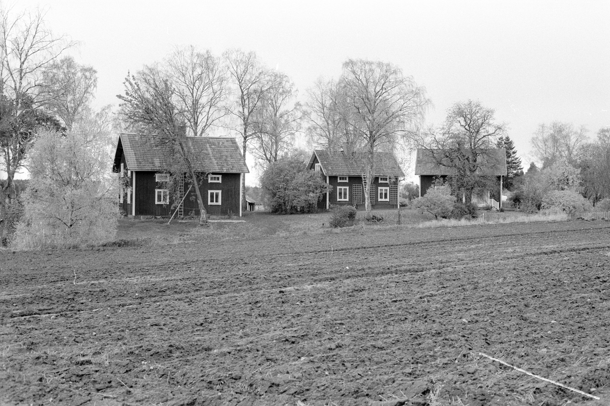 Bostadshus, Ullbolsta 6:4, Ullbolsta, Jumkil socken, Uppland 1983