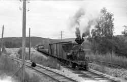 Damplokomotiv nr. 2 med sørgående godstog 5662 skifter på Ha