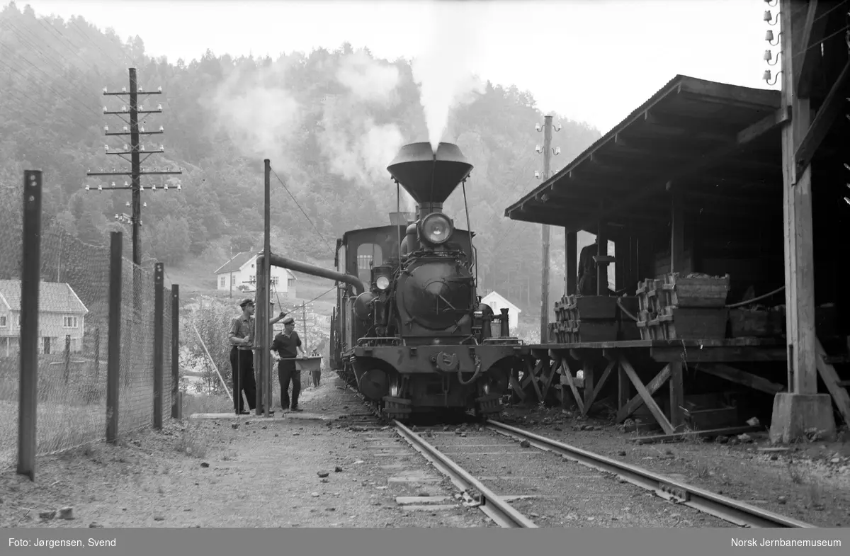 Damplokomotiv nr. 2 med godstog 5661 tar vann på Hægeland stasjon