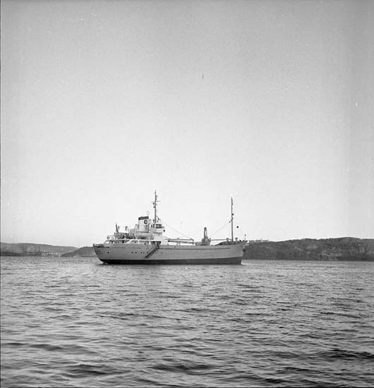 Fartyg nr. 149 M/S Hermia.