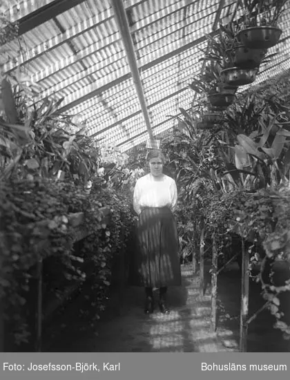 Kvinna i växthusinteriör, Trädgårdsföreningen i Göteborg