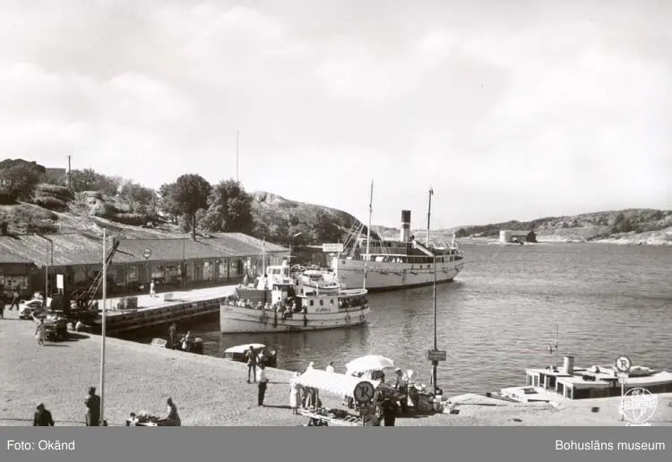 Tryckt text på kortet: 