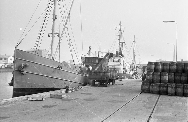 Lastning av tunnor för Islandsfiske 1963