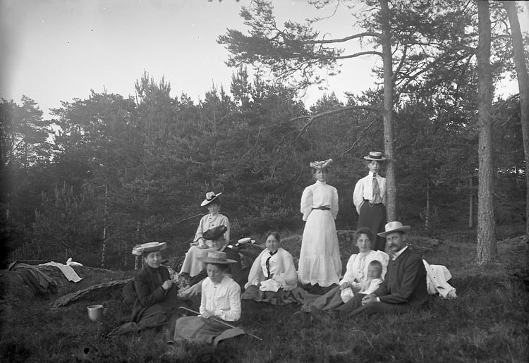 Enligt fotografens notering: "Herr o Fru Larsson, Hanna Kihlman, Fru Stiberg, Fr. Stiberg1907. S. Brulins skog".