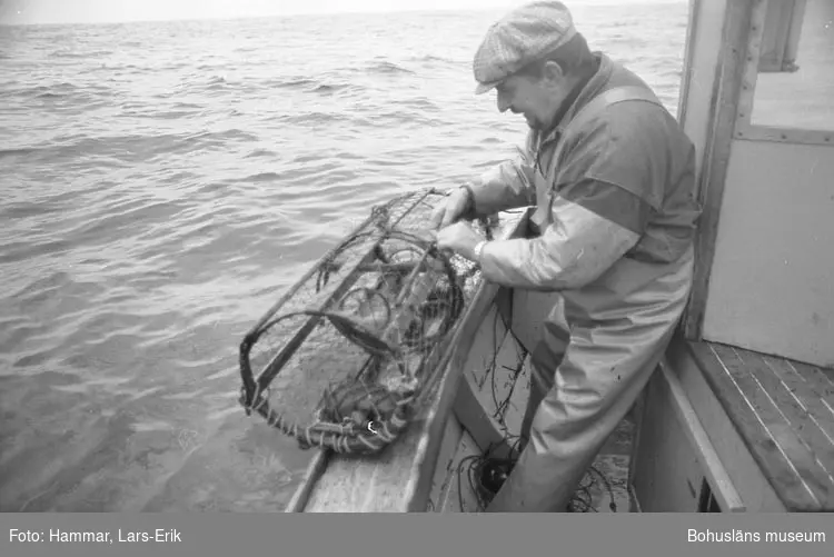 På hummerfiske sydväst om Mollösund i oktober 1978