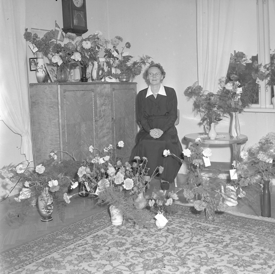 Text till bilden: "Fru Ellen Alexandersson, S. Kvarngatan 26. 50 år. 1957.10"
