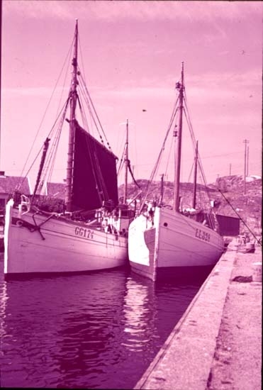 "12. Fiskebåtar i Mollösund"