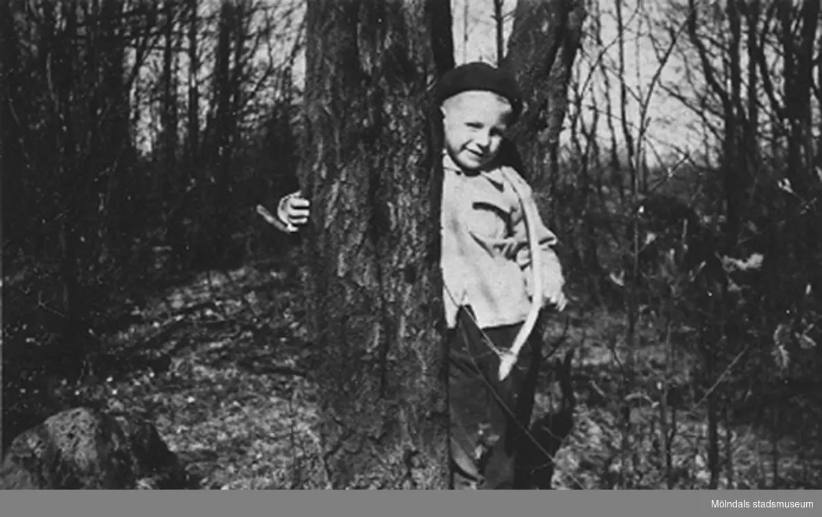 En pojke från Krokslätts daghem håller ena armen runt ett träd, troligtvis på Safjället, 1948 - 1951.