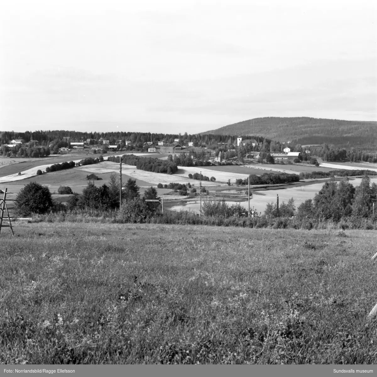 Landskapsvyer över Selångerdalen.