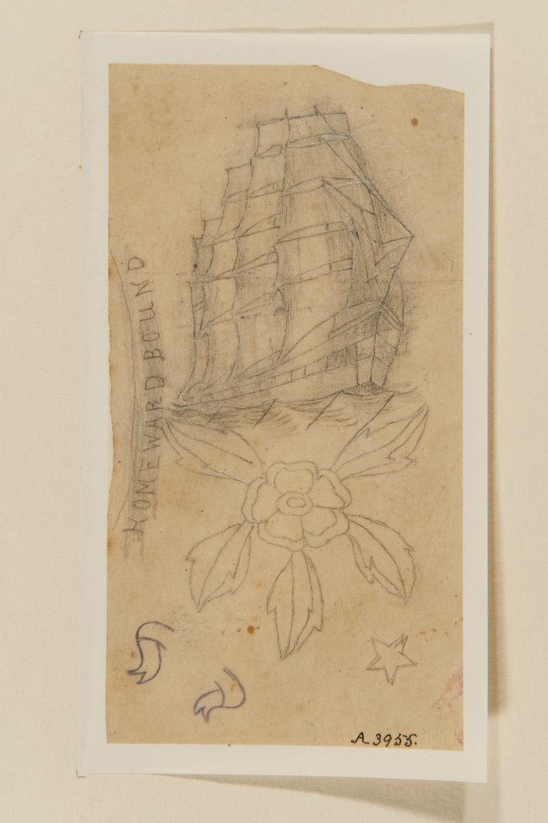 Tatueringsförlaga. Överst ett seglande skepp. Underst en blomma med blad. Till vänster texten "HOMEWARD BOUND".