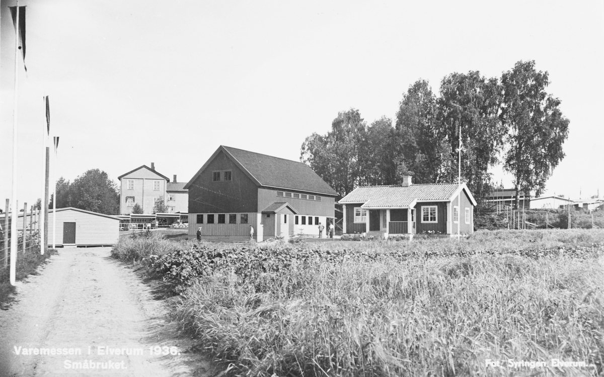 Fra varemessen i Elverum 1936. Småbruket. 