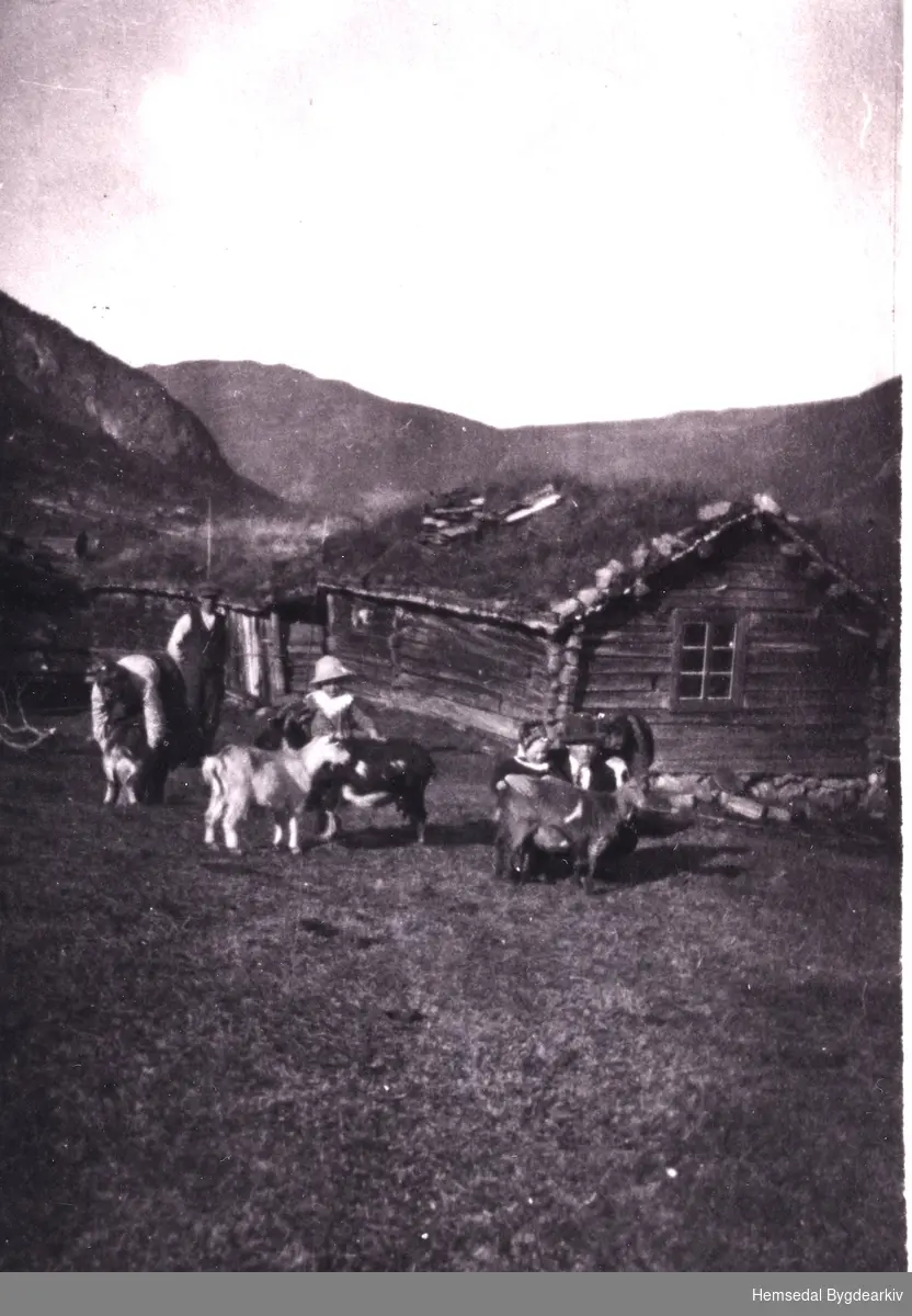 Stølen til Søre Viljugrein, 80.4, i 1918.
Frå venstre: Oline, Andres, Guro og Trond Viljugrein
Ukjent mann til høgre.
