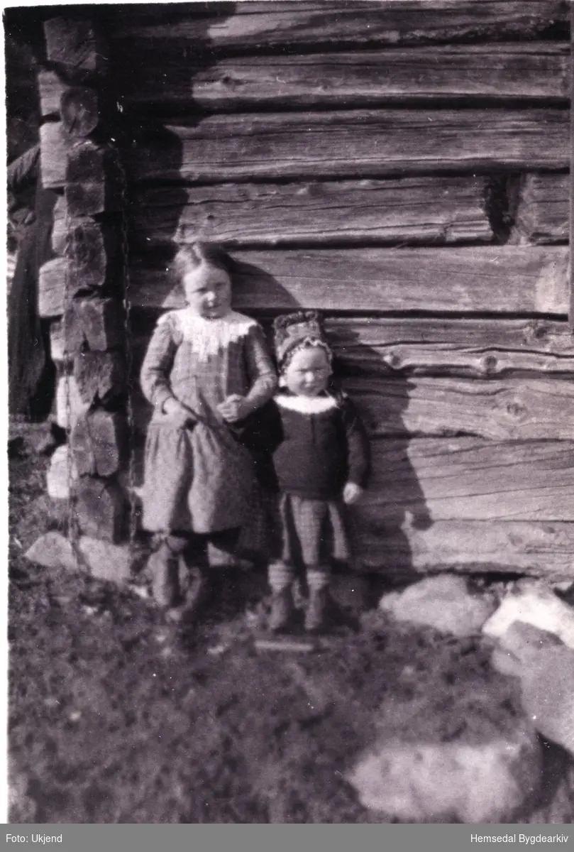 Guro og Trond Viljgrein, 2 og 6 år gamle.
Biletet er teke på Fagerset i 1919