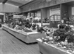 utstilling, Østfoldutstillingen, Sarpsborg Skolehave,Østfol