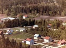 tettbebyggelse,  boligområde,  gartneri,