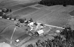 Gården Torp i Eidsberg, flyfoto 4. august  1951.