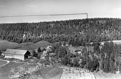 Gården Torkelsrud i Eidsberg, flyfoto 23. juni 1956.