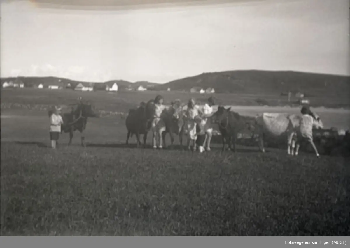 Fire jenter i 10-12-årsalderen og to mindre gutter står ute i en eng sammen med fem kyr. Se ST.K.HE 2011-011-0102.