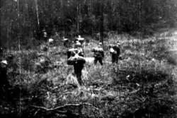 "Skauguttene" 2. verdenskrig. "Julelusmarsjen". Da de måtte 